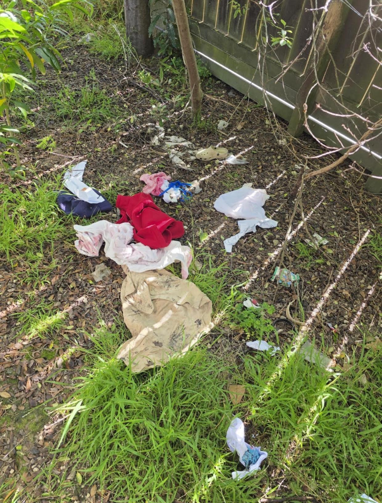 school cat thief stash