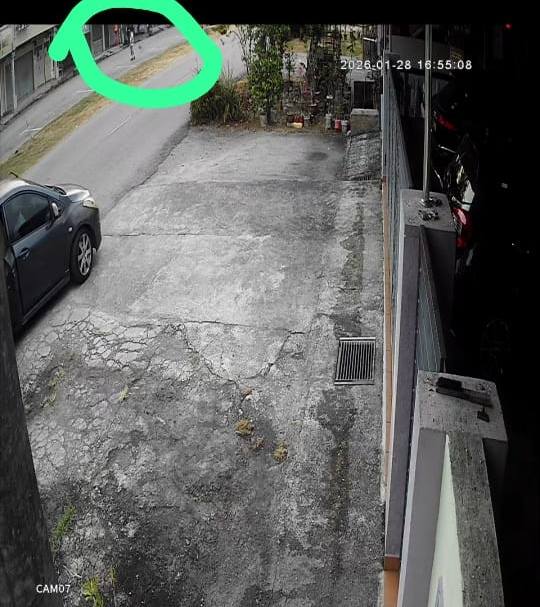 stray dog firecracker fined footage