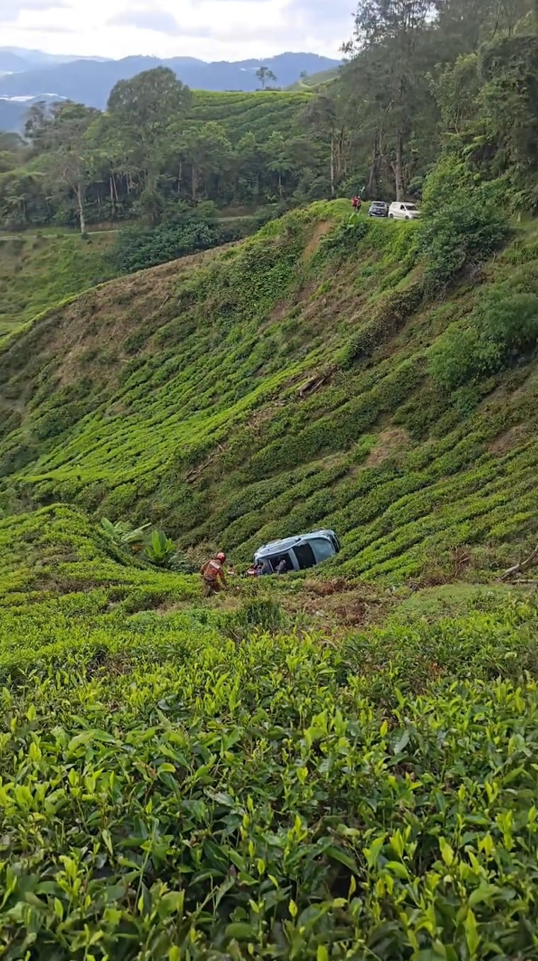 suv ravine cameron highlands