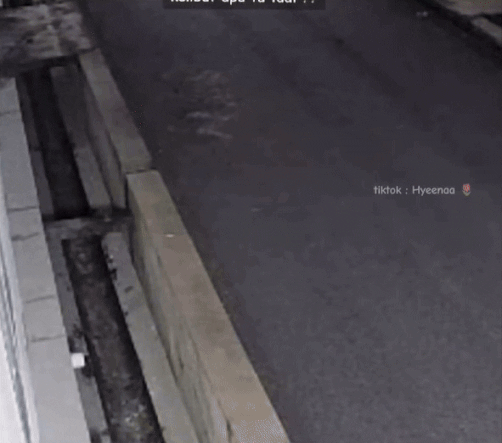 transparent figure (3)