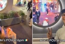 twins birthday portals