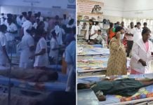 44 students lizard food