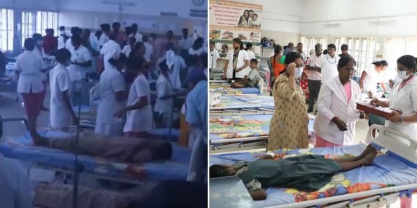 44 students lizard food