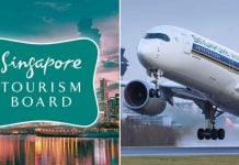 Singapore tourism board and Singapore Airlines