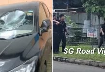 windshield smashing man arrested