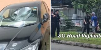 windshield smashing man arrested