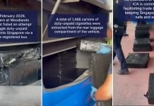 man arrested for attempting to smuggle duty-unpaid cigarette