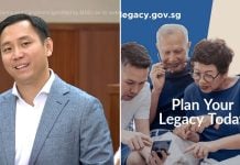 Goh Pei Ming, Lasting power of attorney