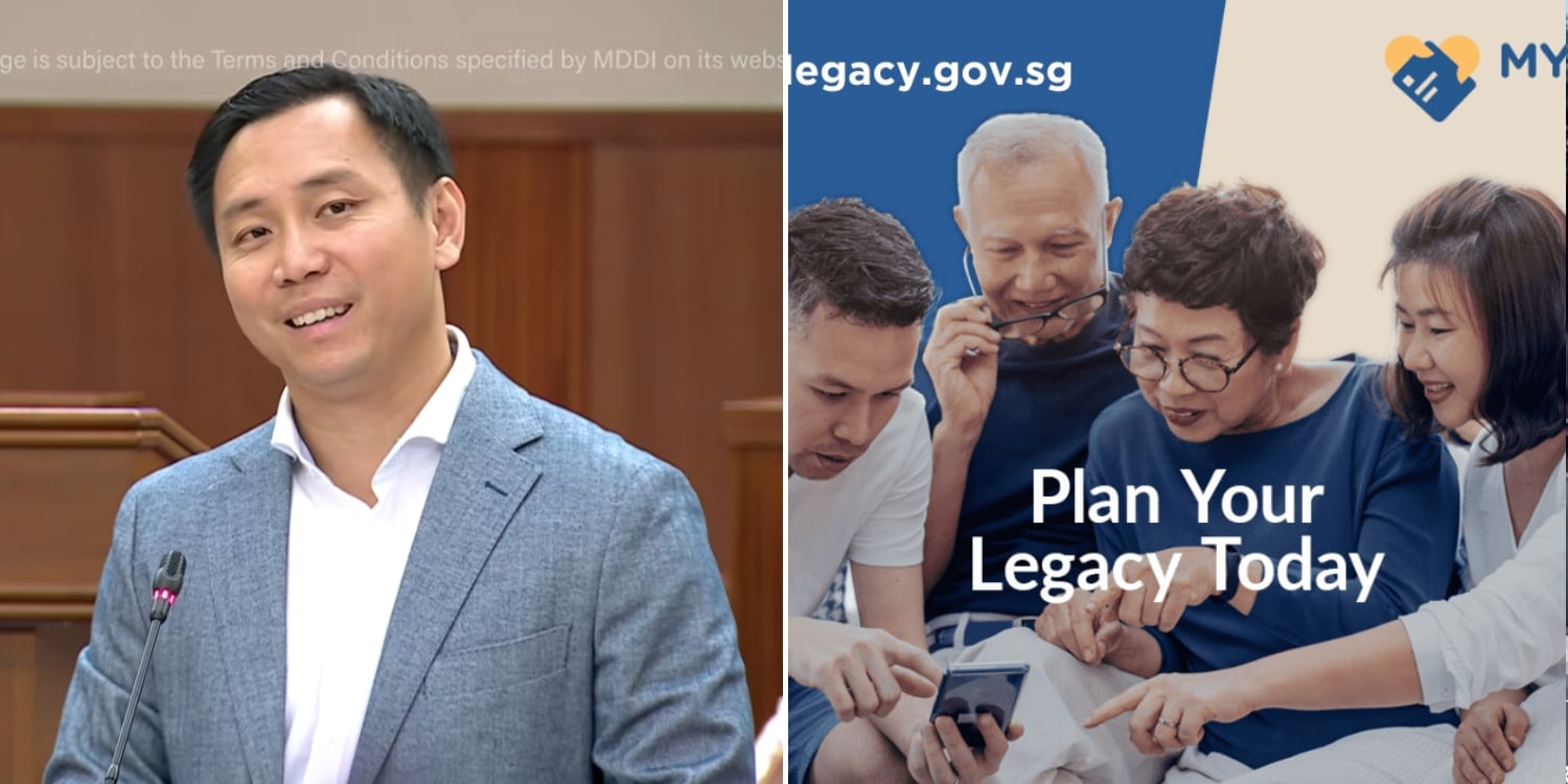 Goh Pei Ming, Lasting power of attorney