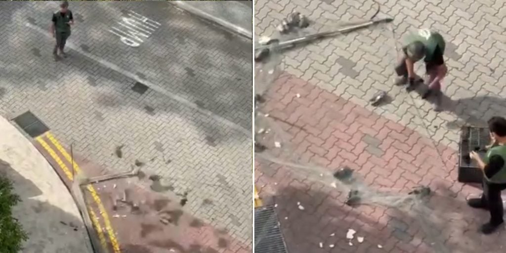 Nparks catching pigeon