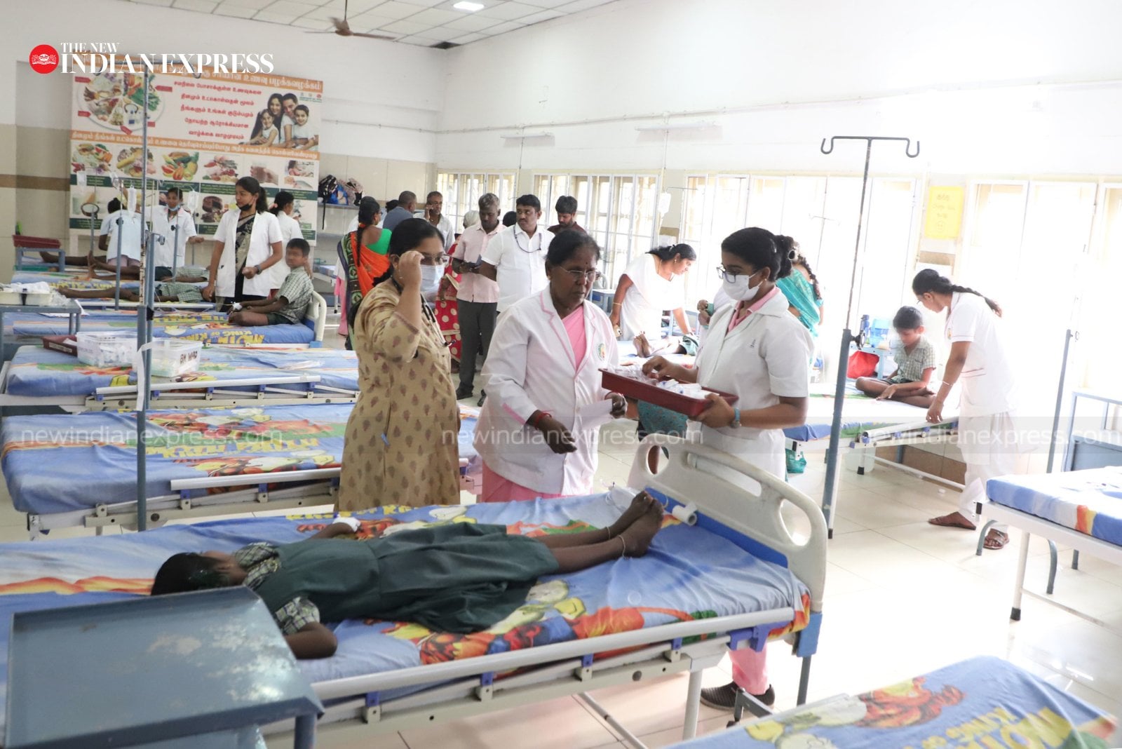 44 students lizard food