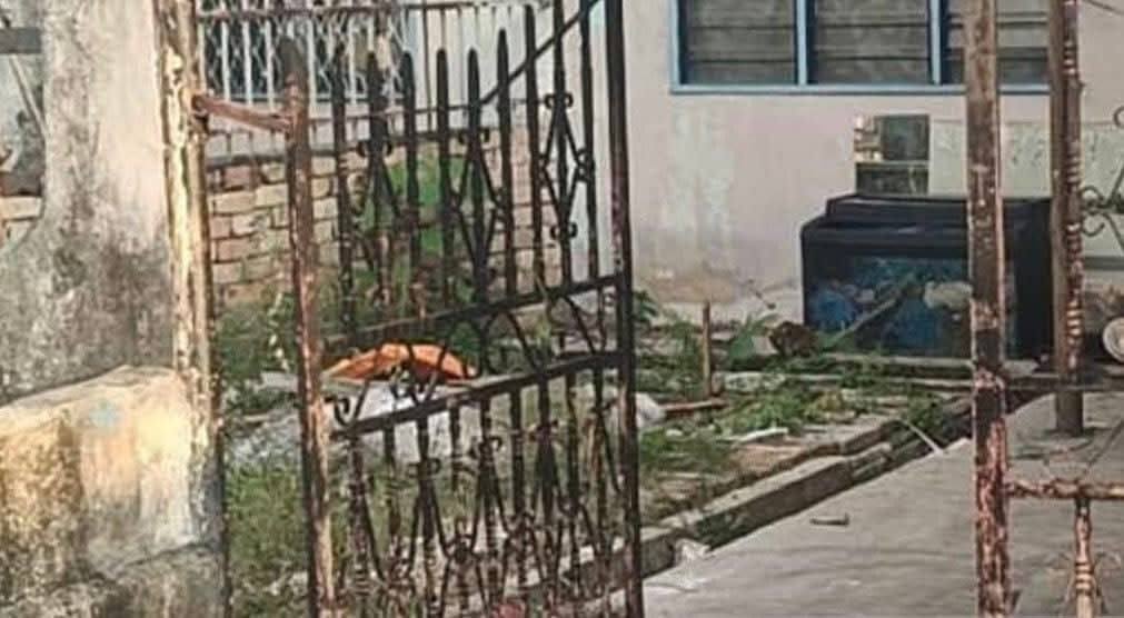 baby skeleton found yard (2)