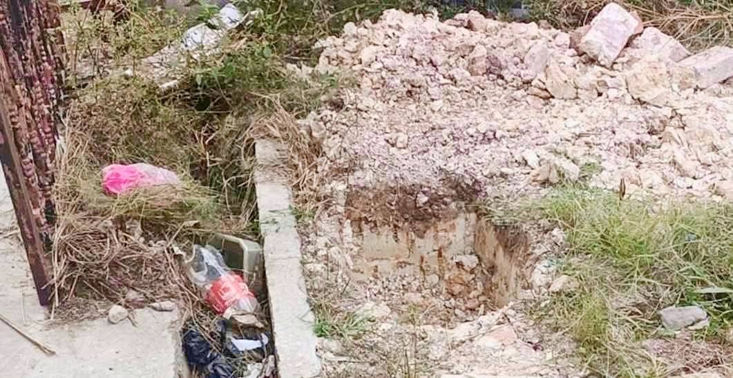 baby skeleton found yard (3)