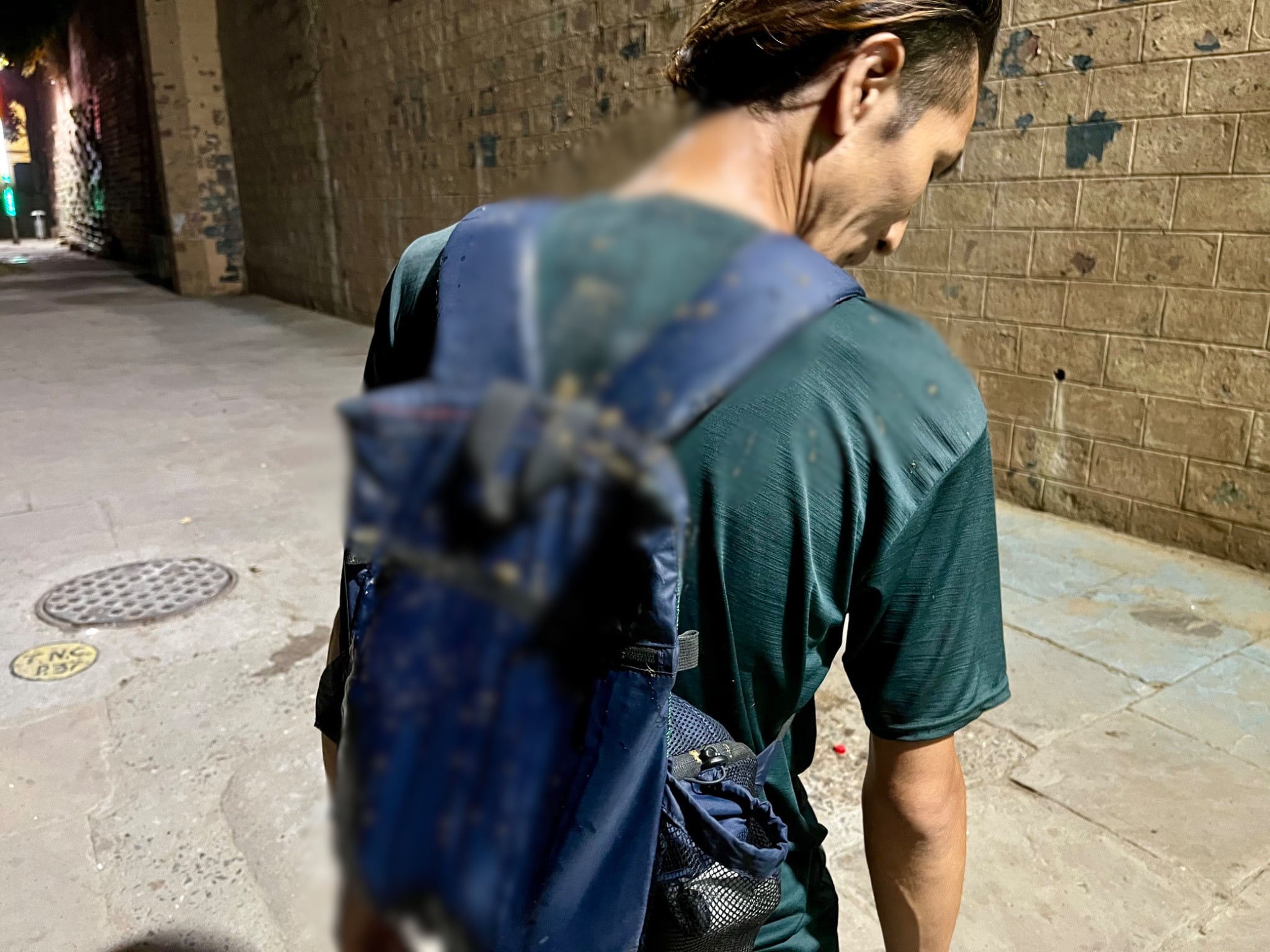 bloggers cow dung india (2)