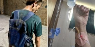 bloggers cow dung india