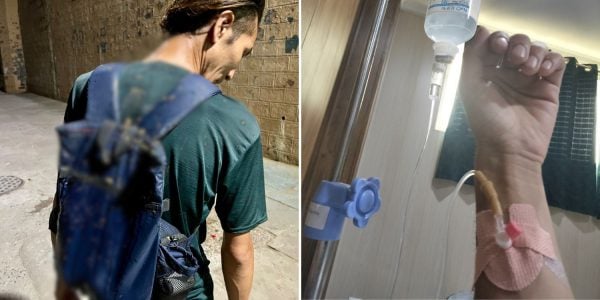 bloggers cow dung india