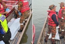 boy mauled crocodile