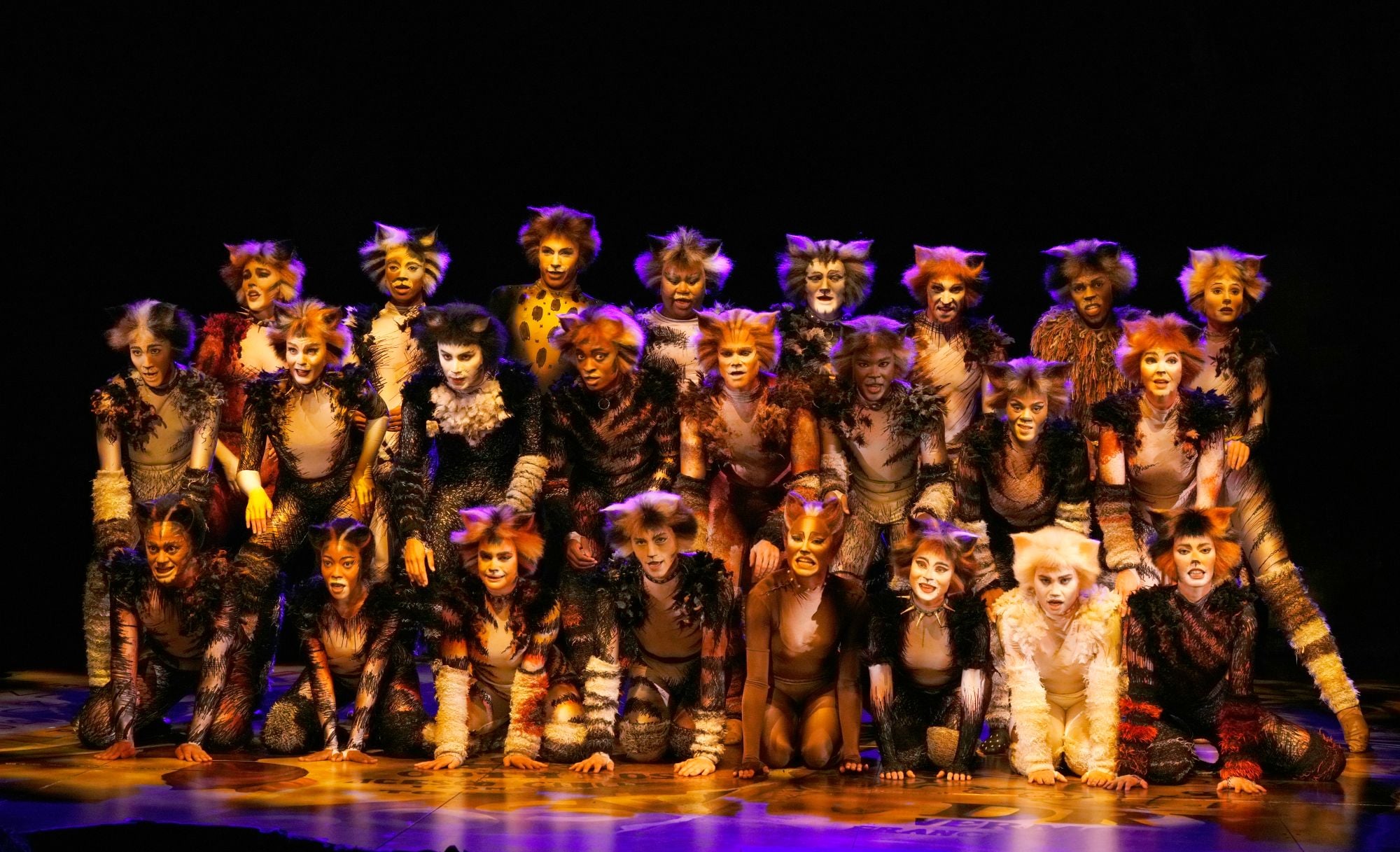 base insider membership