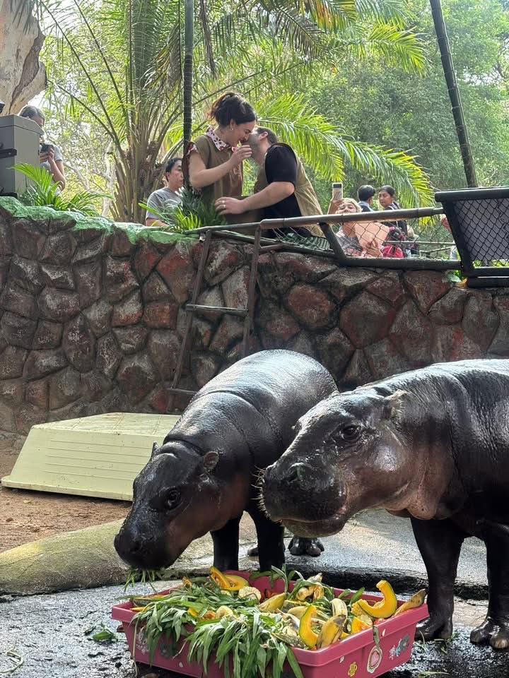 chef proposal moo deng eating