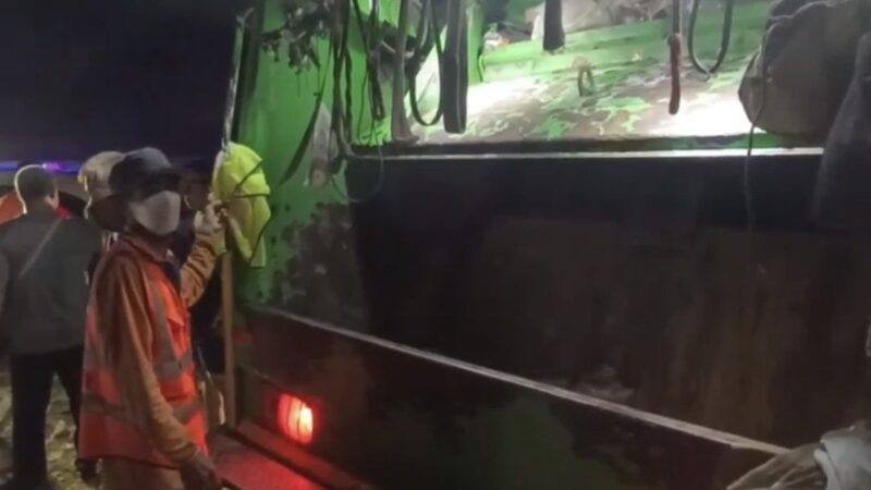 crushed death garbage truck (3)