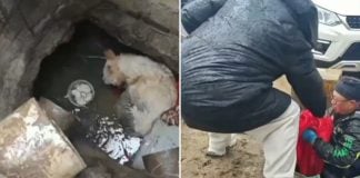 dog bottom well 3 years