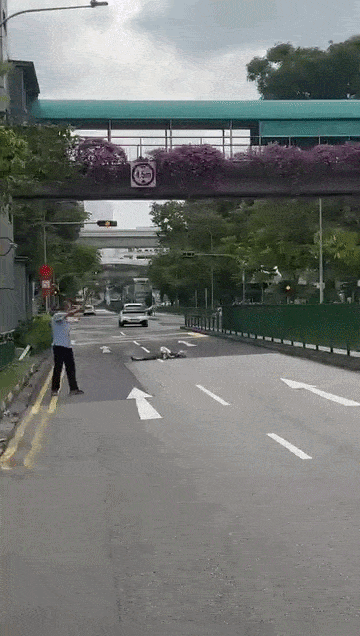 old man directing traffic