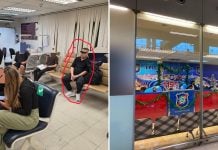 stealing overhead luggage