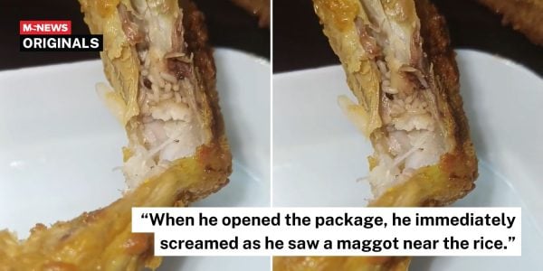 maggots fried chicken perak