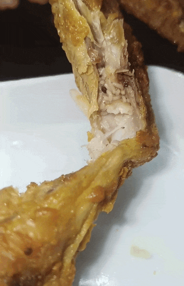 maggots fried chicken perak