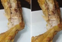 maggots fried chicken ramadan bazaar