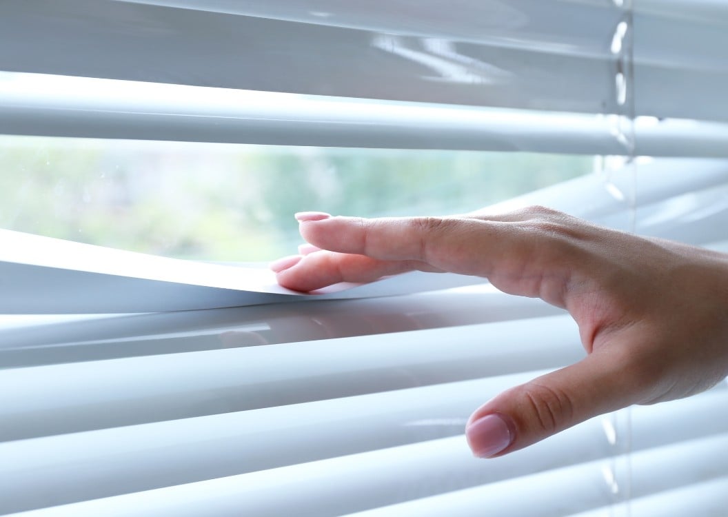 neighbour bathroom window