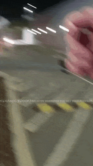 police wandering dog chase arrest