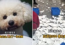 restaurant destroys tableware