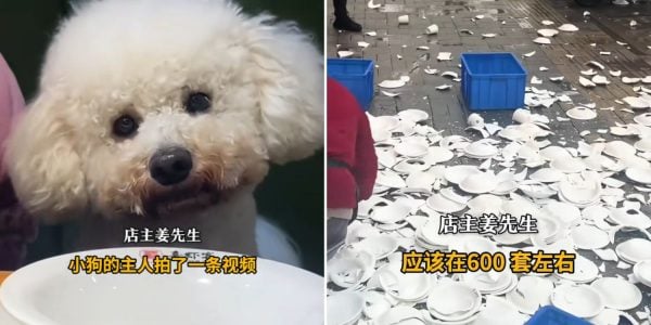restaurant destroys tableware