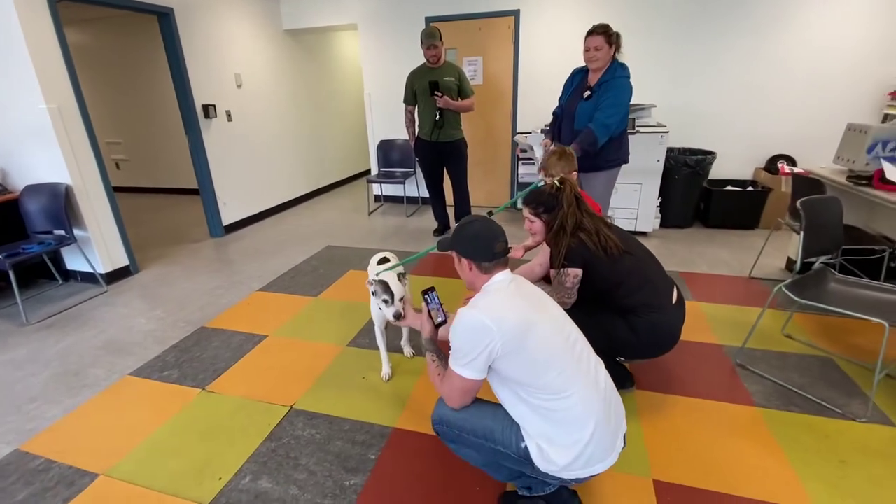 reunited dog 11 years reunion