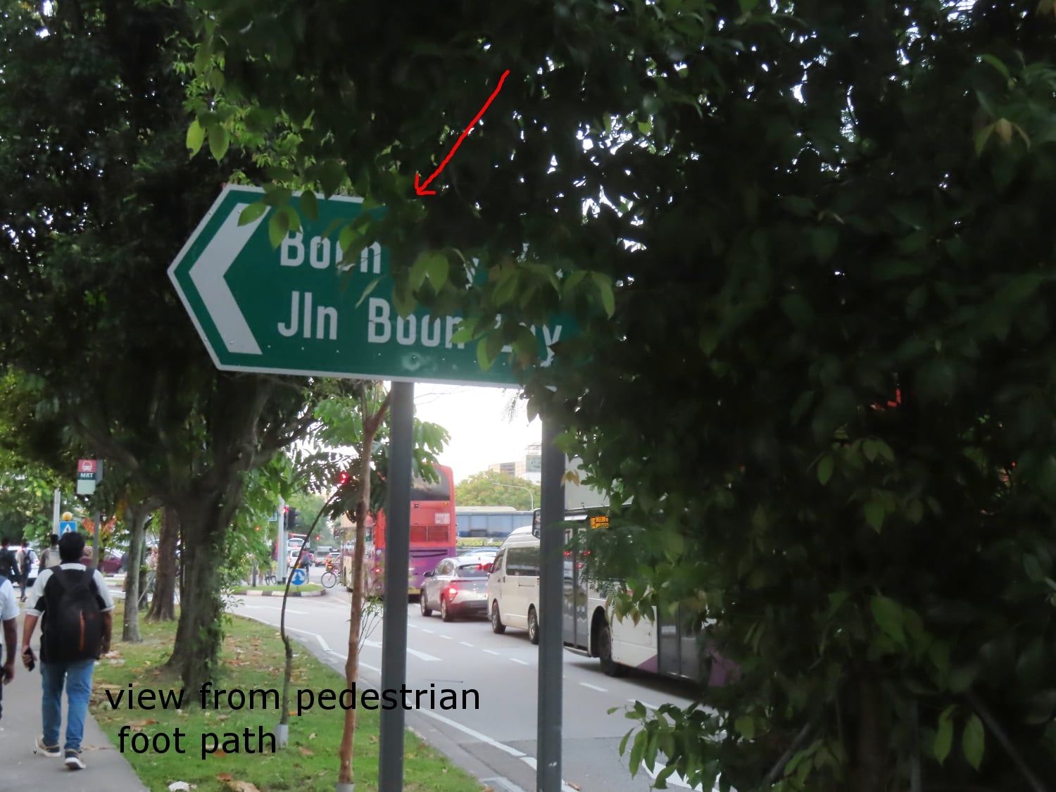 road sign blocked tree