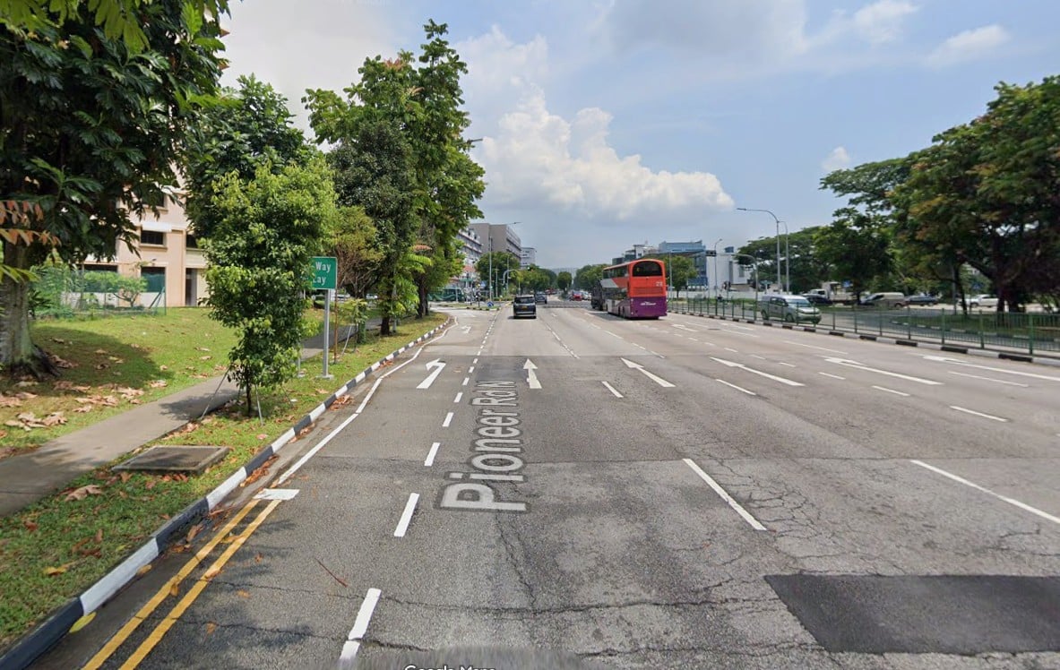road sign blocked tree