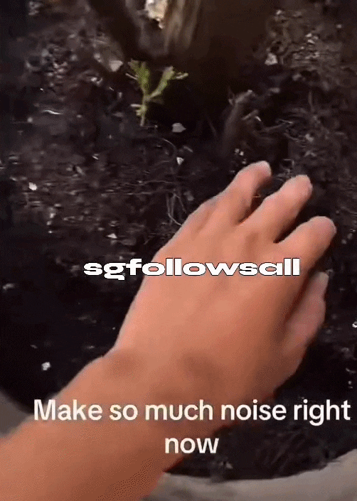 soil migrant workers