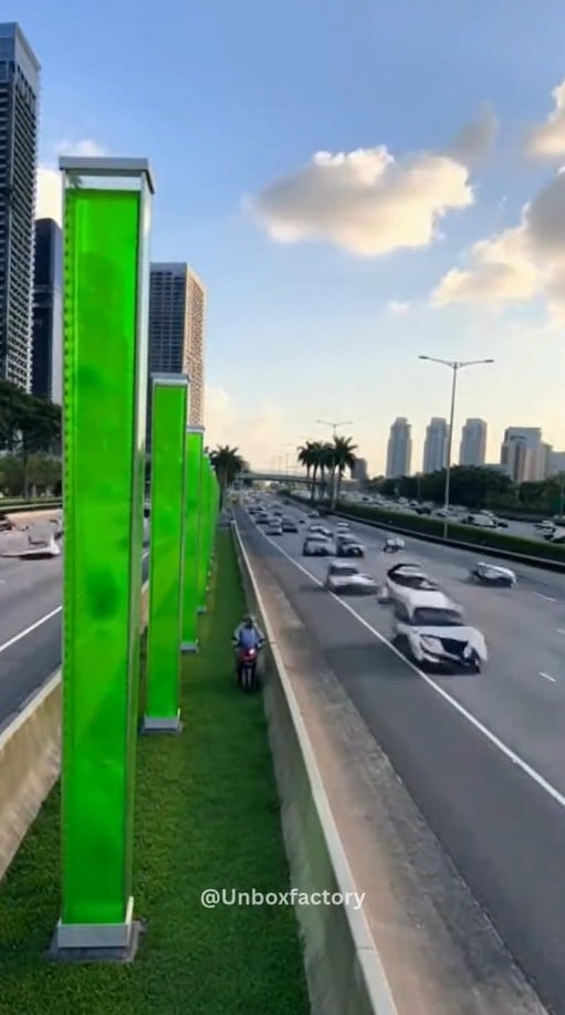 vertical algae panels