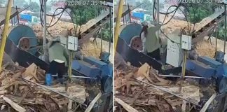 worker wood chipper