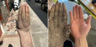 yam shaped like hand