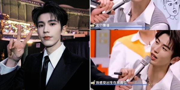 Chinese actor Zhang Linghe faces backlash for 'born in Southeast Asia' remark about portrait, later apologises