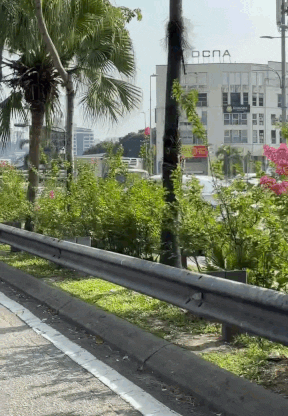 Car drives against traffic KL (2)