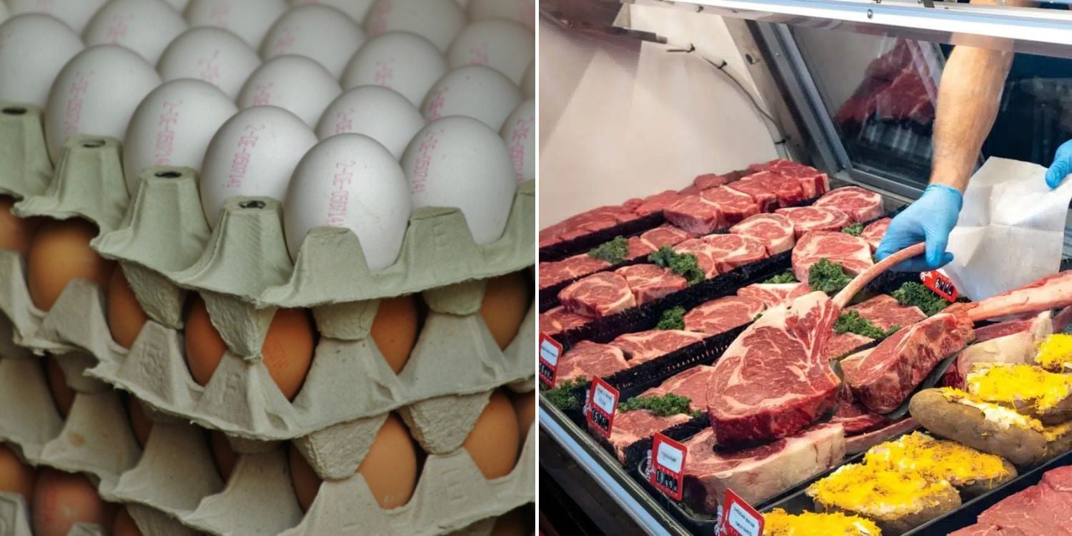S'pore eases import rules for meat and egg products from EU