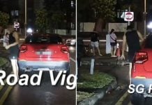 man spotted blocking traffic and littering