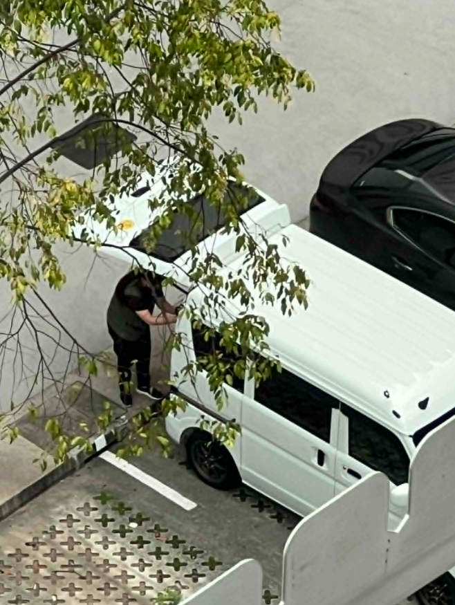 brought back by NParks