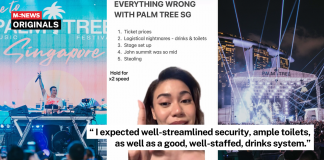 erika maguicay palm tree