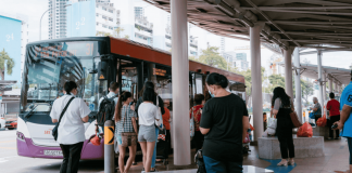 lta bus initiative