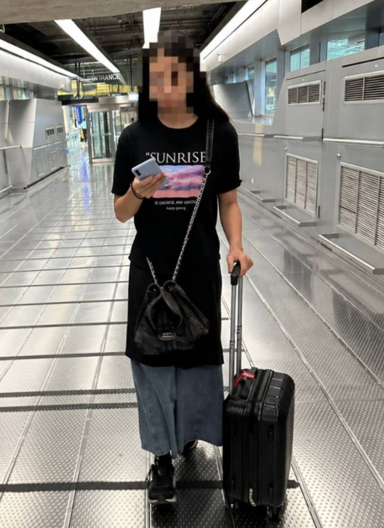 taiwanese airport tortoises