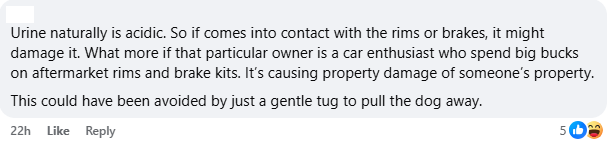 urine can damage car parts